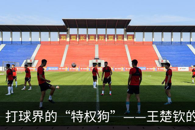 打球界的“特权狗”——王楚钦的悲喜剧