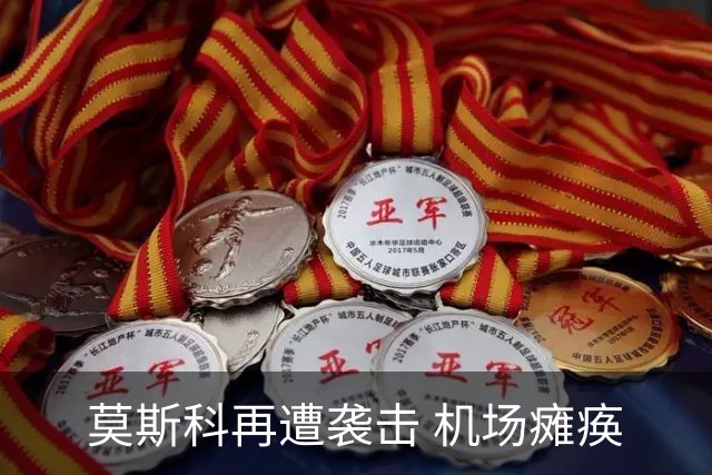 莫斯科再遭袭击 机场瘫痪